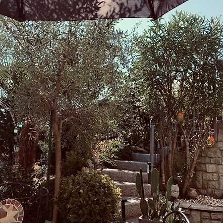 Zoe جرافيلونا توتشه