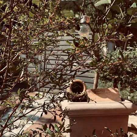 Zoe