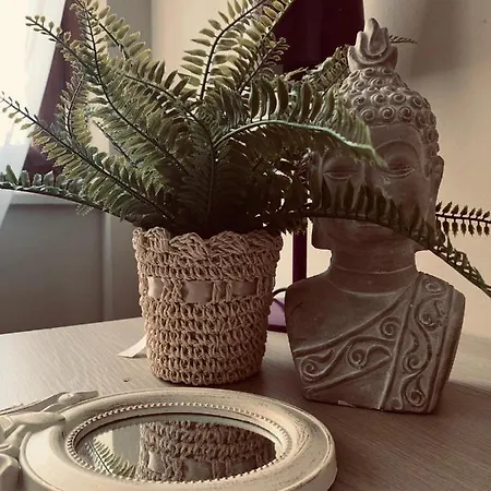 بيت ضيافة Zoe جرافيلونا توتشه